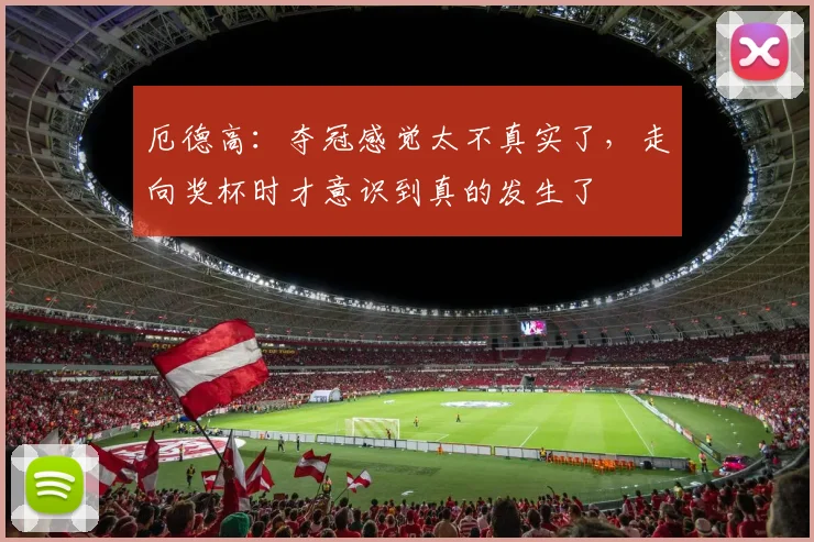 厄德高：夺冠感觉太不真实了，走向奖杯时才意识到真的发生了