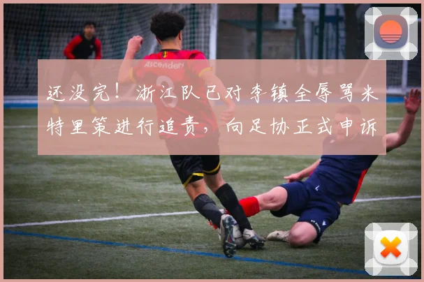 还没完！浙江队已对李镇全辱骂米特里策进行追责，向足协正式申诉_1